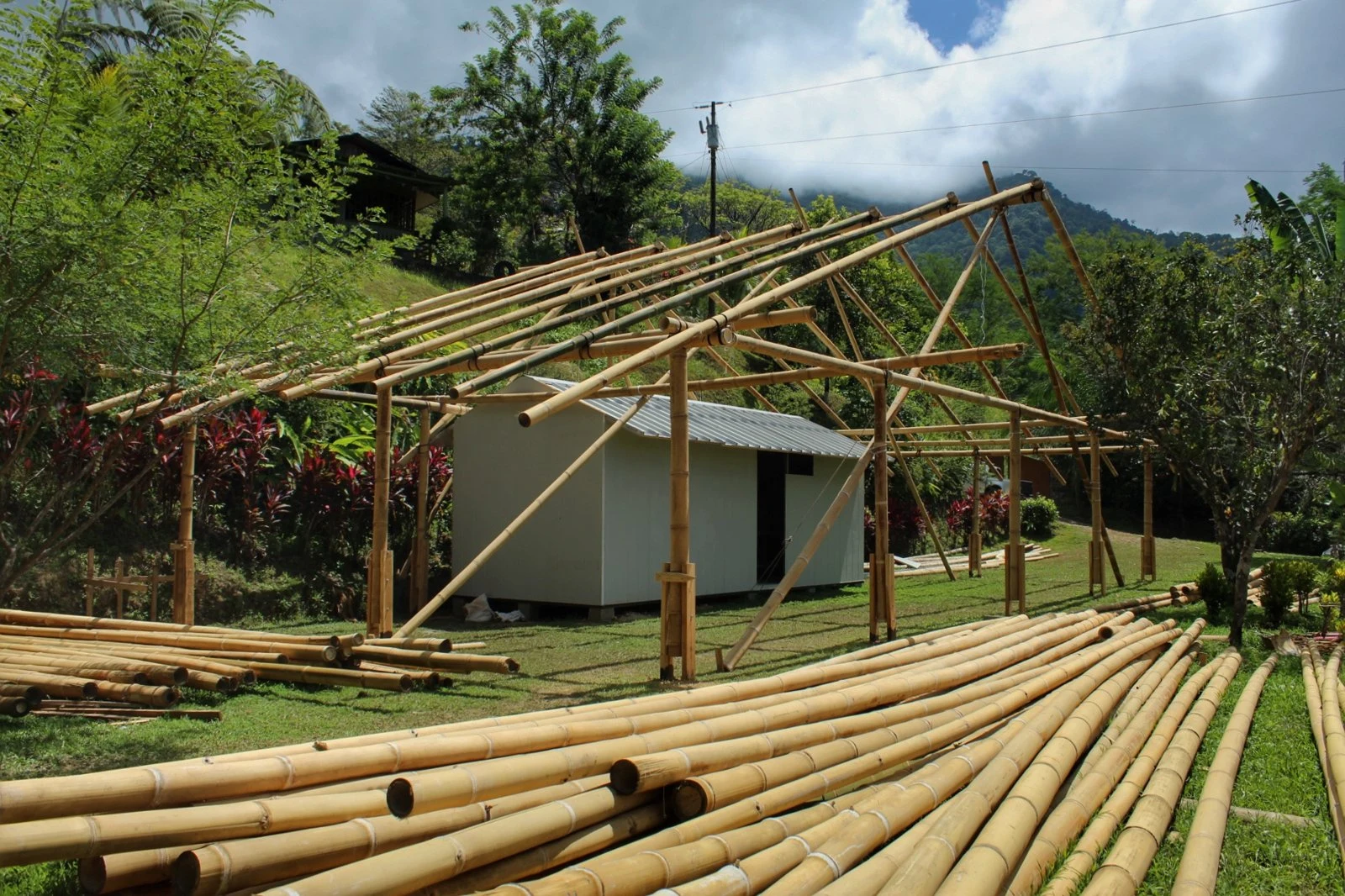 Estructura de bambú del banco de semillas en construcción