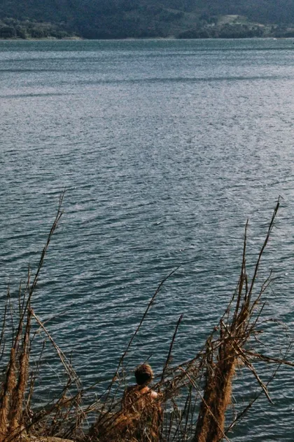 Lago con vegetación en la orilla