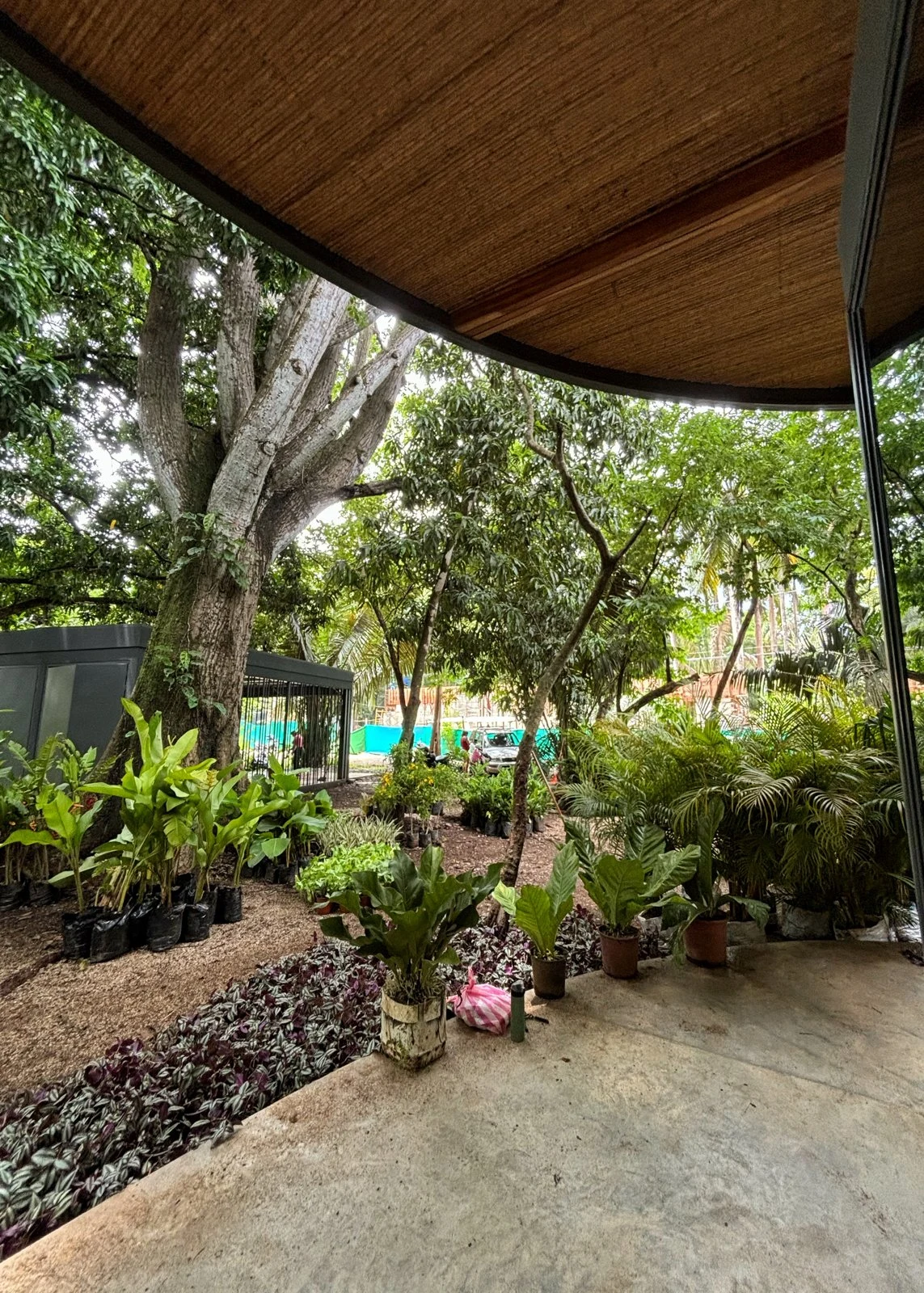 Jardín tropical frente a una residencia
