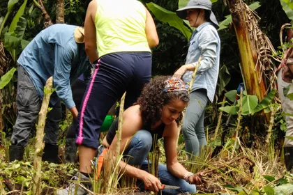 Personas trabajando la tierra con las manos