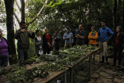 Grupo reunido alrededor de una mesa larga en el bosque