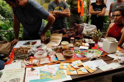 Mesa con semillas y materiales del curso