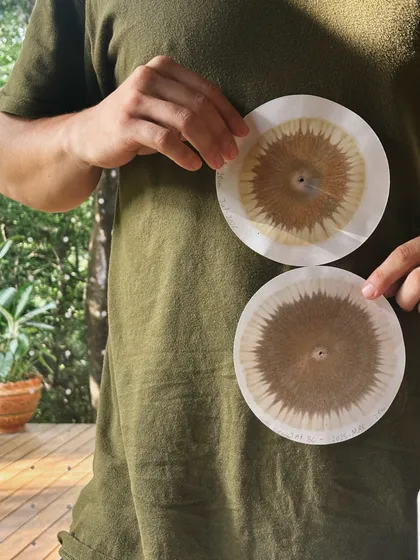 Manos sosteniendo dos filtros de café usados