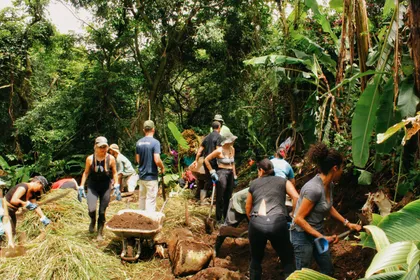 Grupo trabajando en una huerta entre plantas de banano