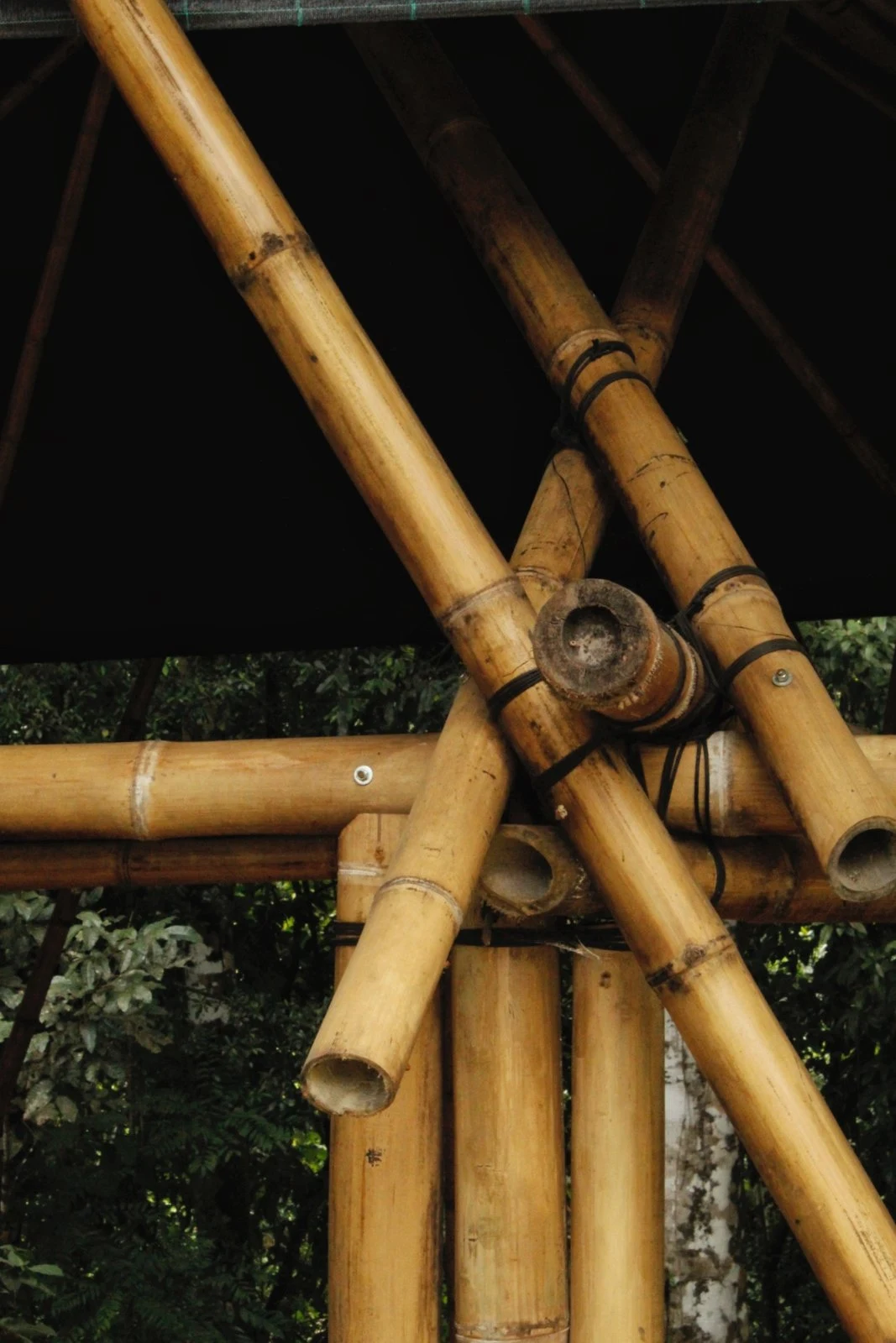 Detalle de unión de bambú